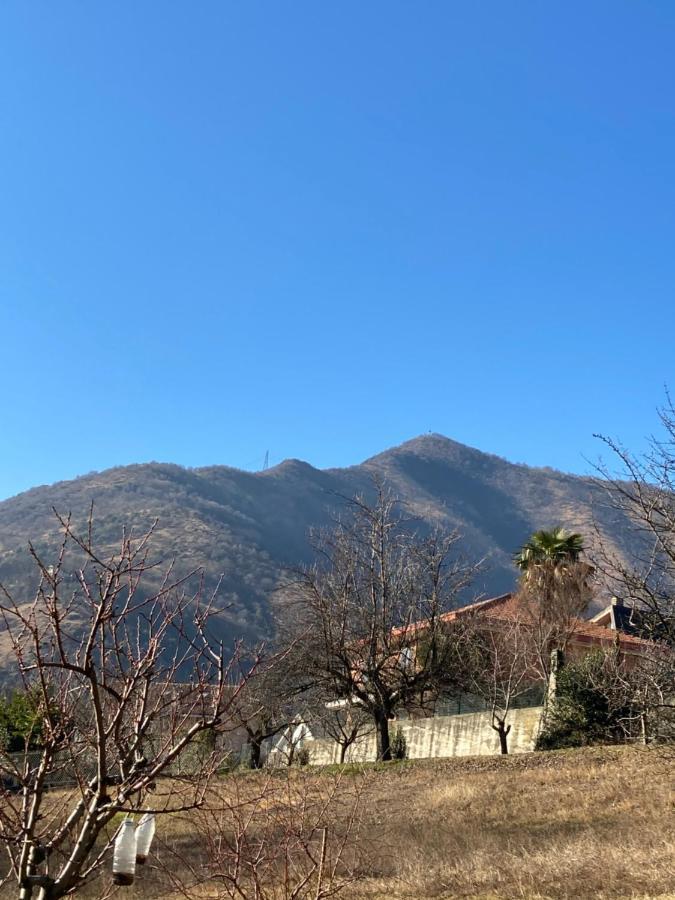 Casa Dell'Agrifoglio Ξενοδοχείο Caselette Εξωτερικό φωτογραφία