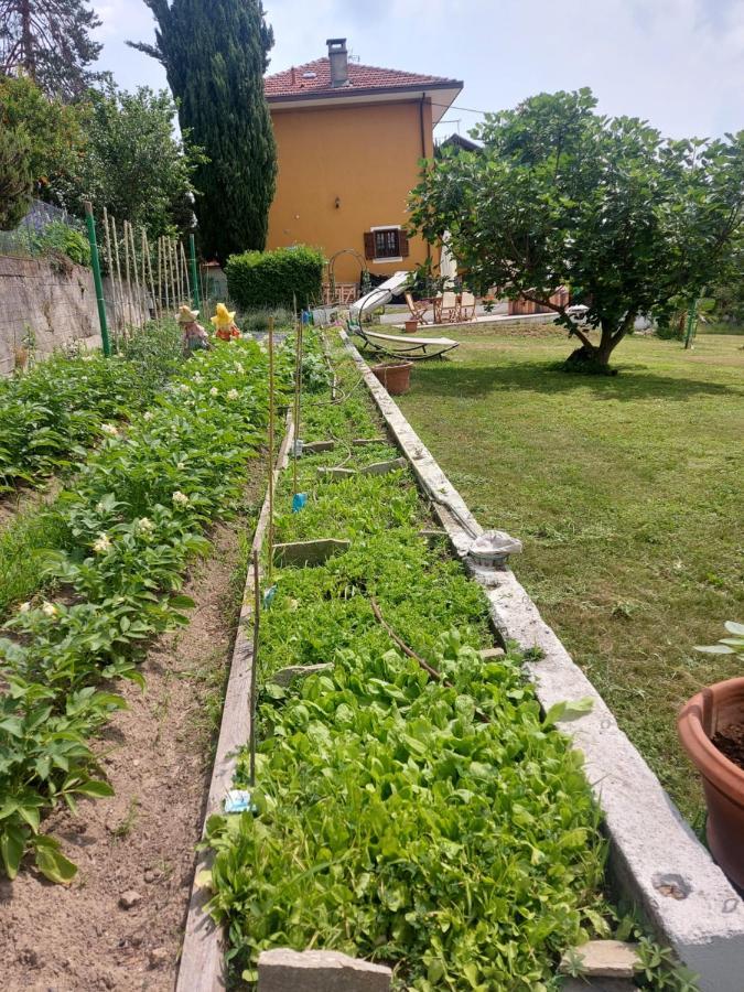 Casa Dell'Agrifoglio Ξενοδοχείο Caselette Εξωτερικό φωτογραφία